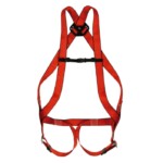 Arnes C/Engate Dorsal